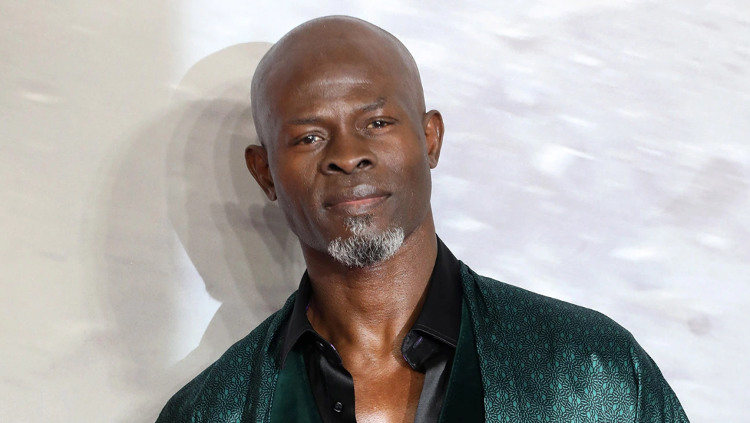 Djimon Hounsoun acteur bÃ©ninois Ã  Hollywood