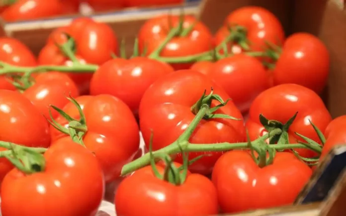 Tomates Aramis - Category Template