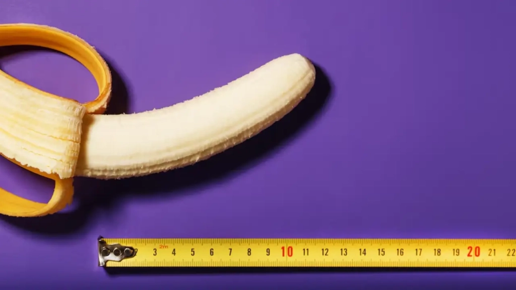 penis