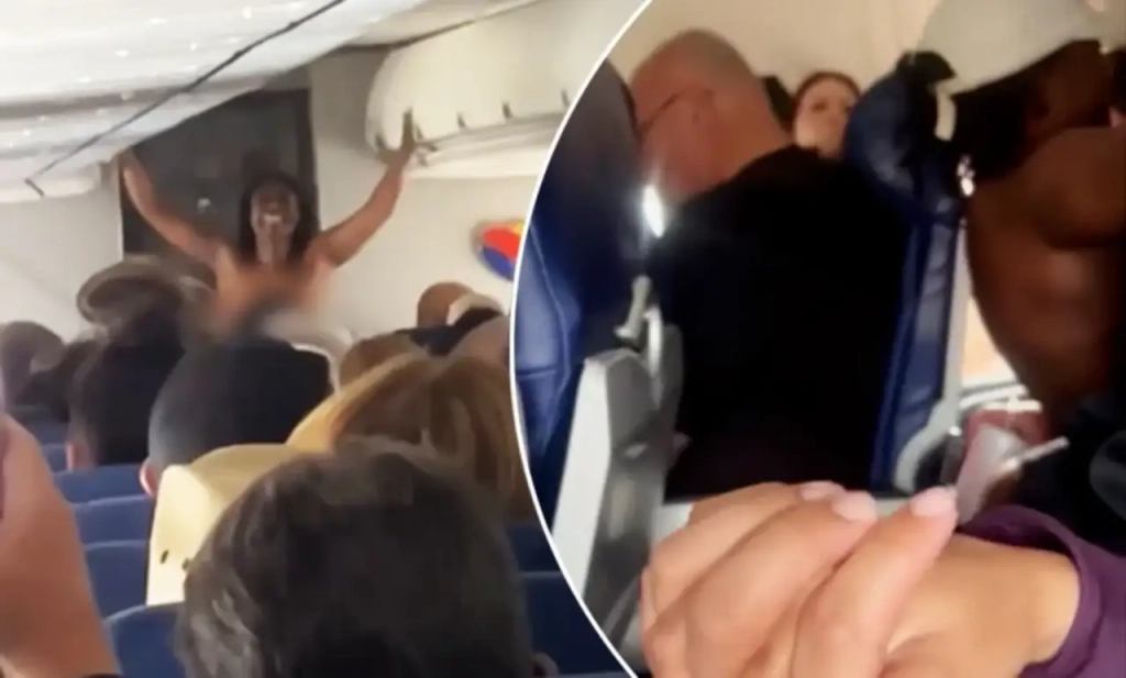 Vol Southwest Airlines - une passagère se déshabille et défèque en plein vol (1)