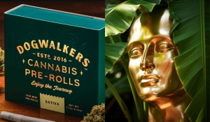 Oscars 2026 : pas de statuette, mais 300 000 € de cadeaux (et du cannabis) pour les perdants !