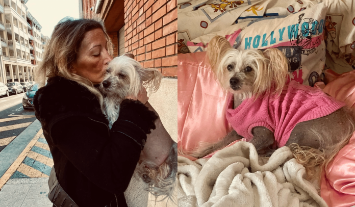 Loana : son fidèle compagnon, Titi, lui aussi a été retrouvé sans vie