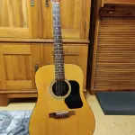 Guitare acoustique, illustration