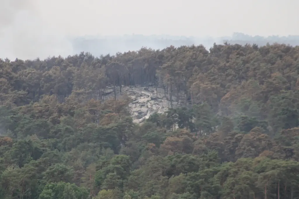 Incendie de forêt en France, illustration