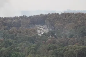 Incendie de forêt en France, illustration