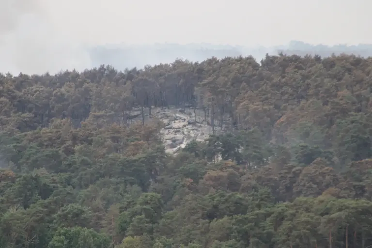 Incendie de forêt en France, illustration