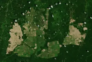 Plantations de palmiers à huile en Indonésie