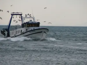 Bateau de pêche français revenant au port