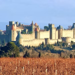 Carcassonne : enquête ouverte après la diffusion de propos racistes captés par la caméra d'un policier municipal