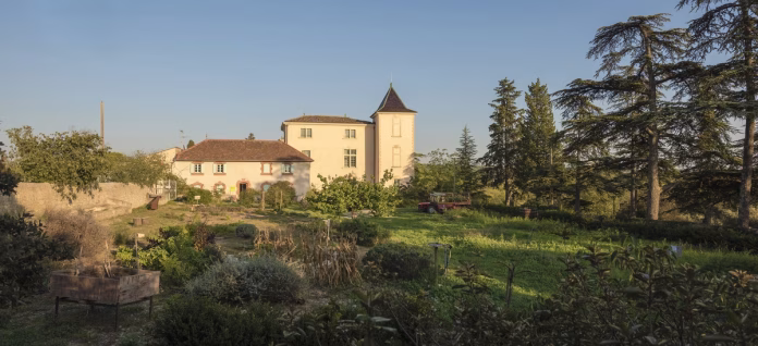 Château royal d’Amboise : dans les coulisses de la préservation d’un joyau du patrimoine