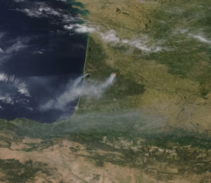 Incendies en Gironde : Laurent Ruquier et plusieurs personnalités évacués d'urgence du Cap-Ferret