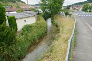 La rivière Aubette à Saint-Léger-du-Bourg-Denis en Seine-Maritime