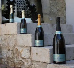 Plusieurs formats de bouteilles de champagne alignés du plus petit au jéroboam
