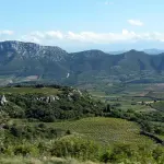 Bouteille de vin doux naturel de l'appellation Maury