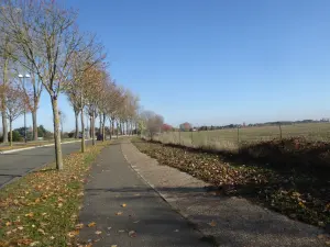 Route départementale 91 à Guyancourt en direction de Buc