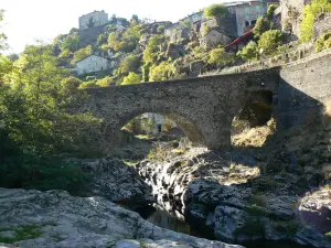 Vue du village de Vébron en Lozère