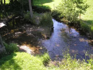 La Brévogne à Coulonces dans le Calvados