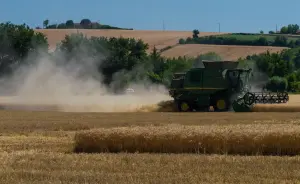 Une moissonneuse-batteuse travaille dans un champ de blé du Lauragais