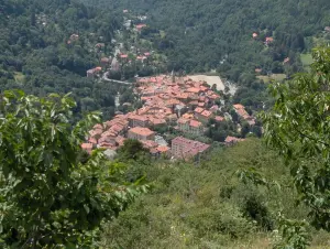 Vue du village de Saint-Martin-Vésubie dans les Alpes-Maritimes