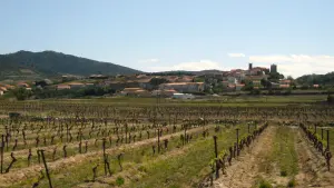 Vue d’archive du village de Montner et de ses vignes