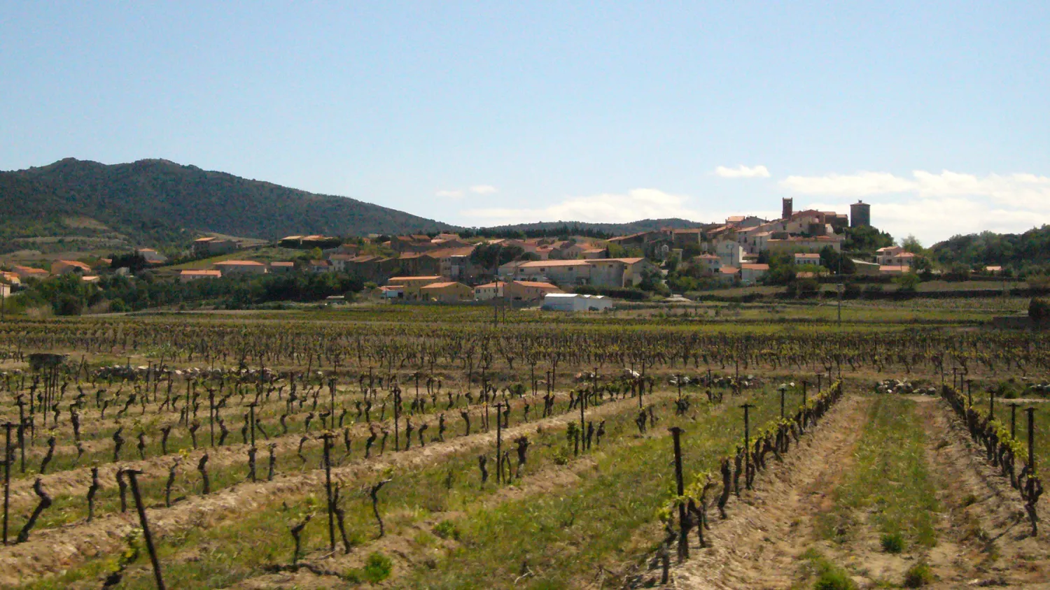 Vue d’archive du village de Montner et de ses vignes