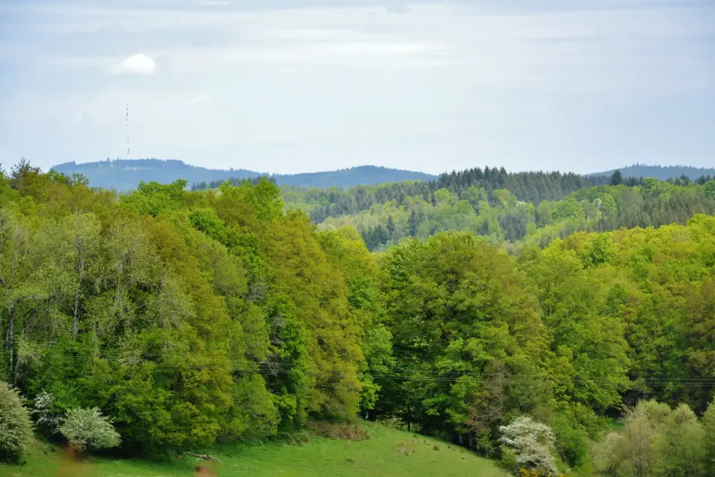 Le plateau de Millevaches et le mont Bessou vus depuis Davignac