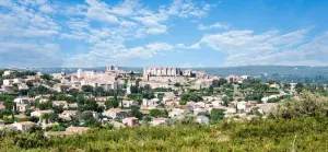 Vue générale de Lançon-Provence
