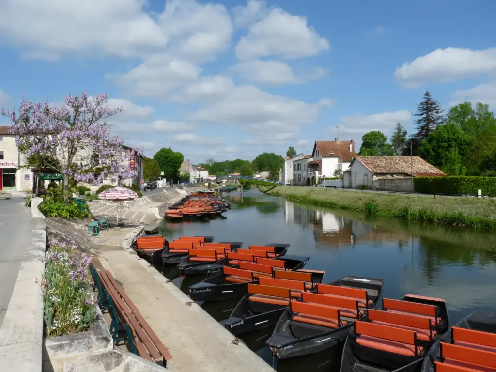 Quai Louis-Tardy à Coulon : rivière, barques touristiques et maisons bien visibles (archive)
