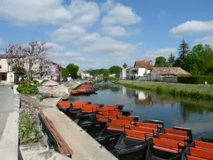 Quai Louis-Tardy à Coulon : rivière, barques touristiques et maisons bien visibles (archive)