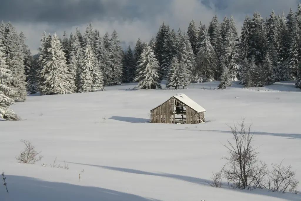 Un couvert enneigé au mont de l’Herba le 22 mars 2008. Archive du massif concerné par le projet, sans représentation de son implantation ni des conditions actuelles.