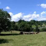 Un tracteur fauche un champ près de La Bridoire en Savoie