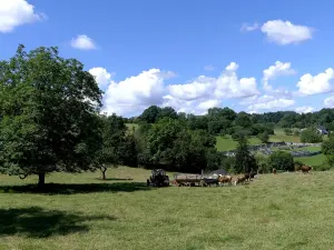 Un tracteur fauche un champ près de La Bridoire en Savoie