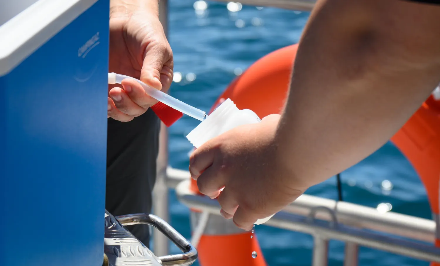 Prélèvements de microalgues en mer au large de Concarneau