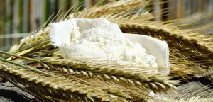 Farine de blé entourée d’épis de blé