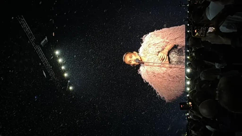 Céline Dion sur scène à Nanterre le 2 octobre 2026, photographie d’archive