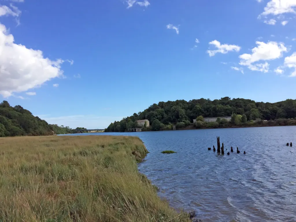 Estuaire du Scorff avec le pont de la RN165 au fond, photographie d’archive de 2017