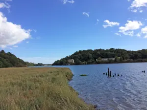 Estuaire du Scorff avec le pont de la RN165 au fond, photographie d’archive de 2017