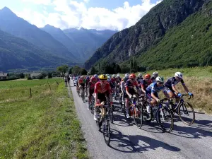 Le peloton du Tour de France Femmes dans une montée alpine