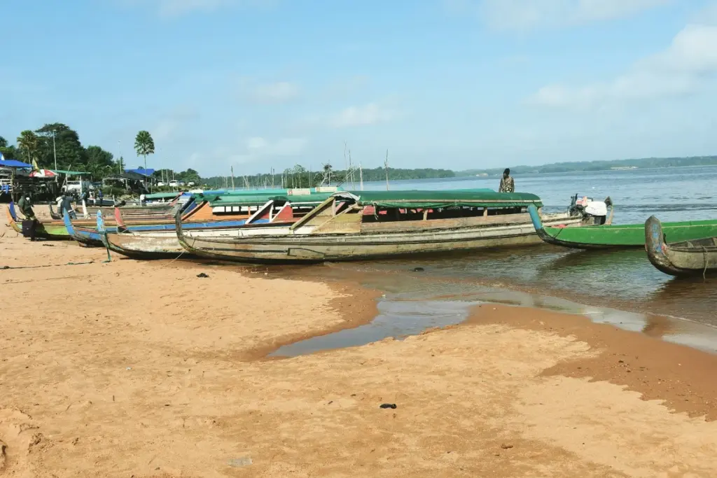 Pirogues amarrées sur la rive du Maroni, archive de 2019