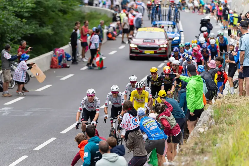 Le maillot jaune au sein du peloton du Tour de France