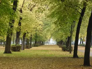 Vue d’archive de l’esplanade de Lille près de la citadelle en 2012