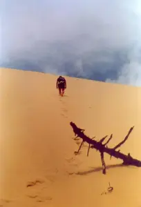Dune du Pilat — archive